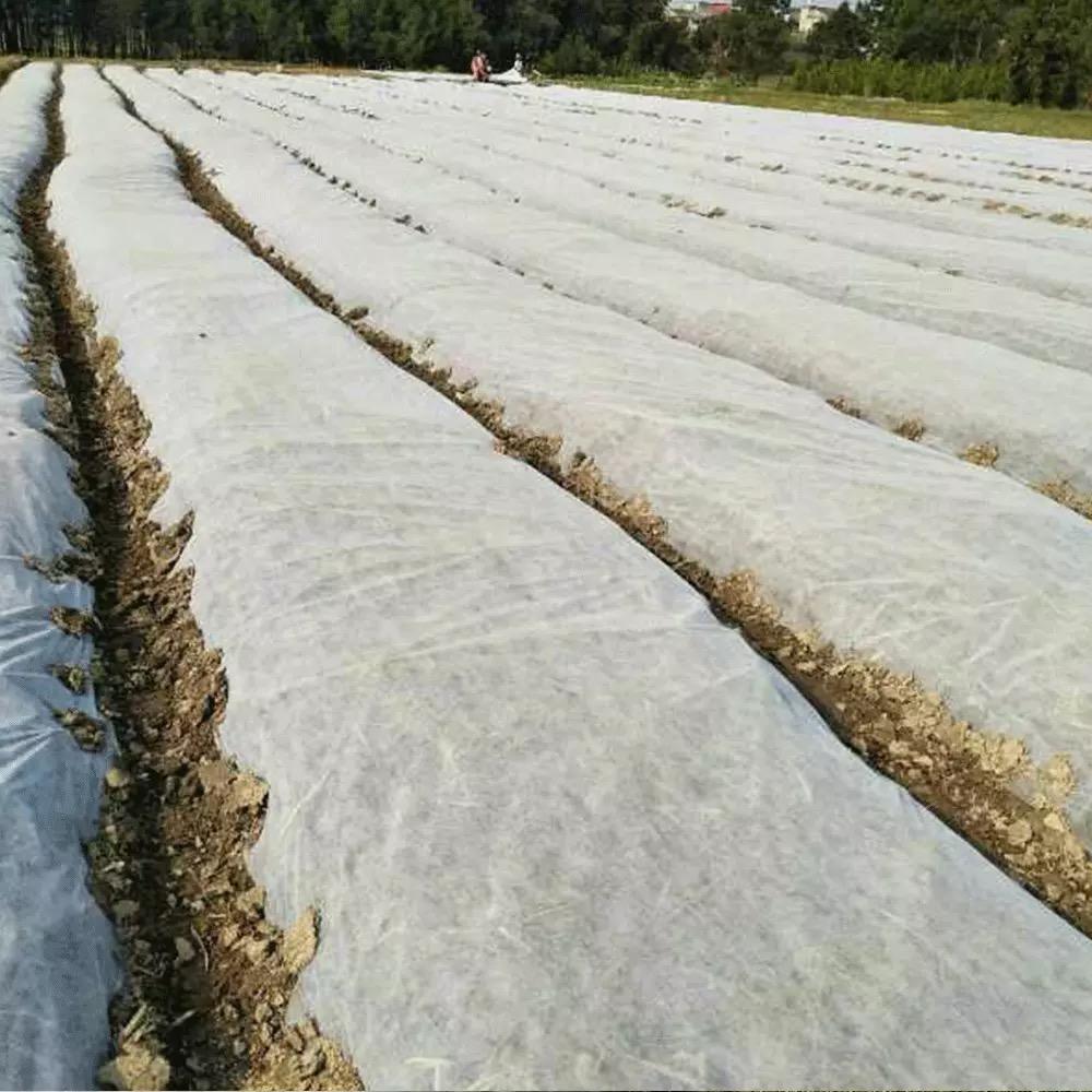 Biodegradable Environmental Protection Fabric Agriculture Non woven Cloth